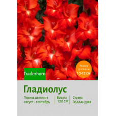 Гладиолус Traderhorn