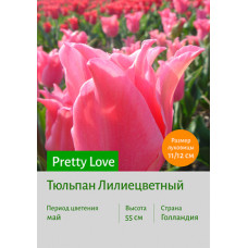 Тюльпан Pretty Love