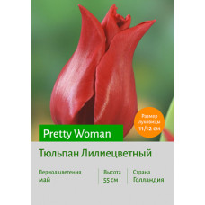 Тюльпан Pretty Woman
