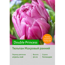 Тюльпан Double Princess