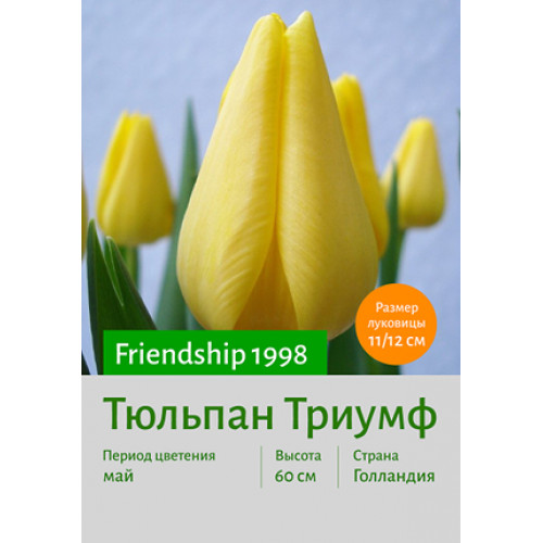 Тюльпан Friendship 1998