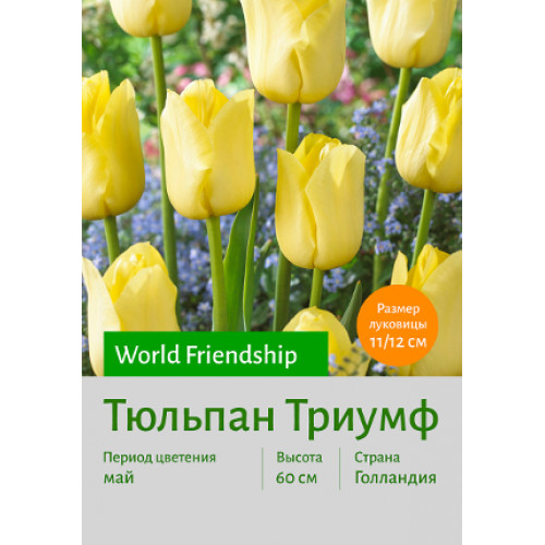 Тюльпан World Friendship