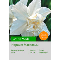 Нарцисс White Medal