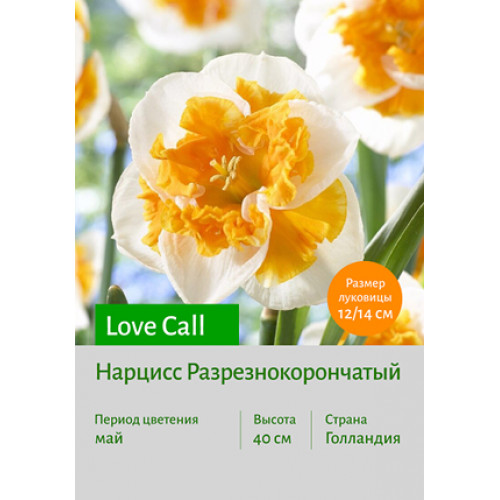 Нарцисс Love Call
