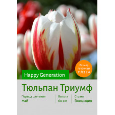 Тюльпан Happy_Generation