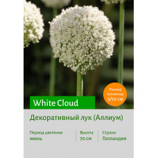 Декоративный лук White Cloud