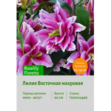 Лилия Roselily Floretta