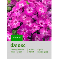 Флокс Hannah