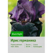 Ирис германика Black Night