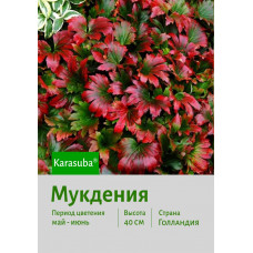 Мукгения Karasuba