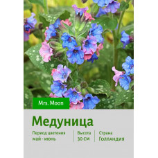 Медуница Mrs. Moon