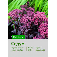 Седум Dark Magic